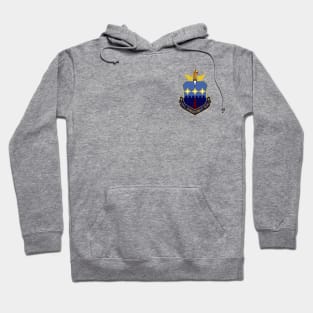 320th Bomb Wing Hoodie